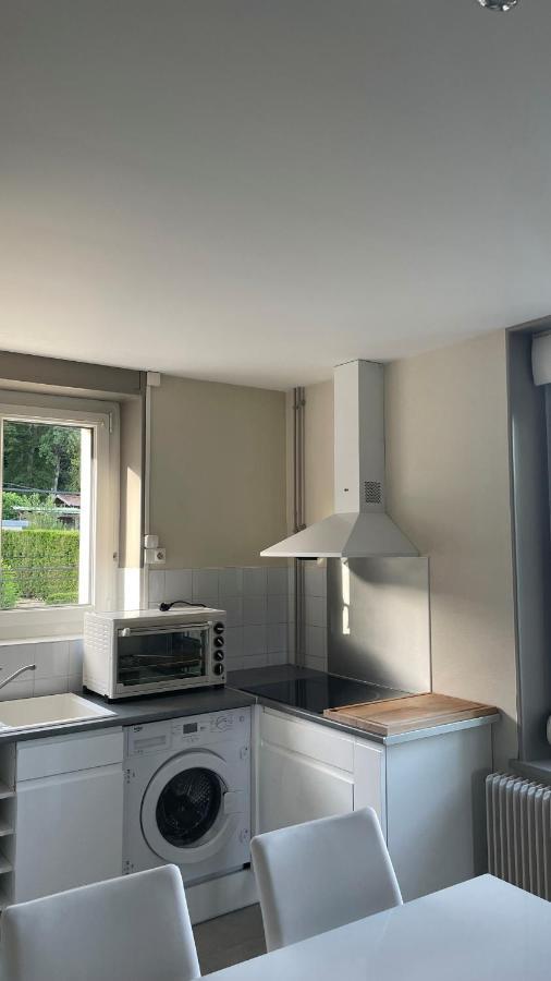 Appartement La Fourmi Verte Bruyeres Exteriér fotografie